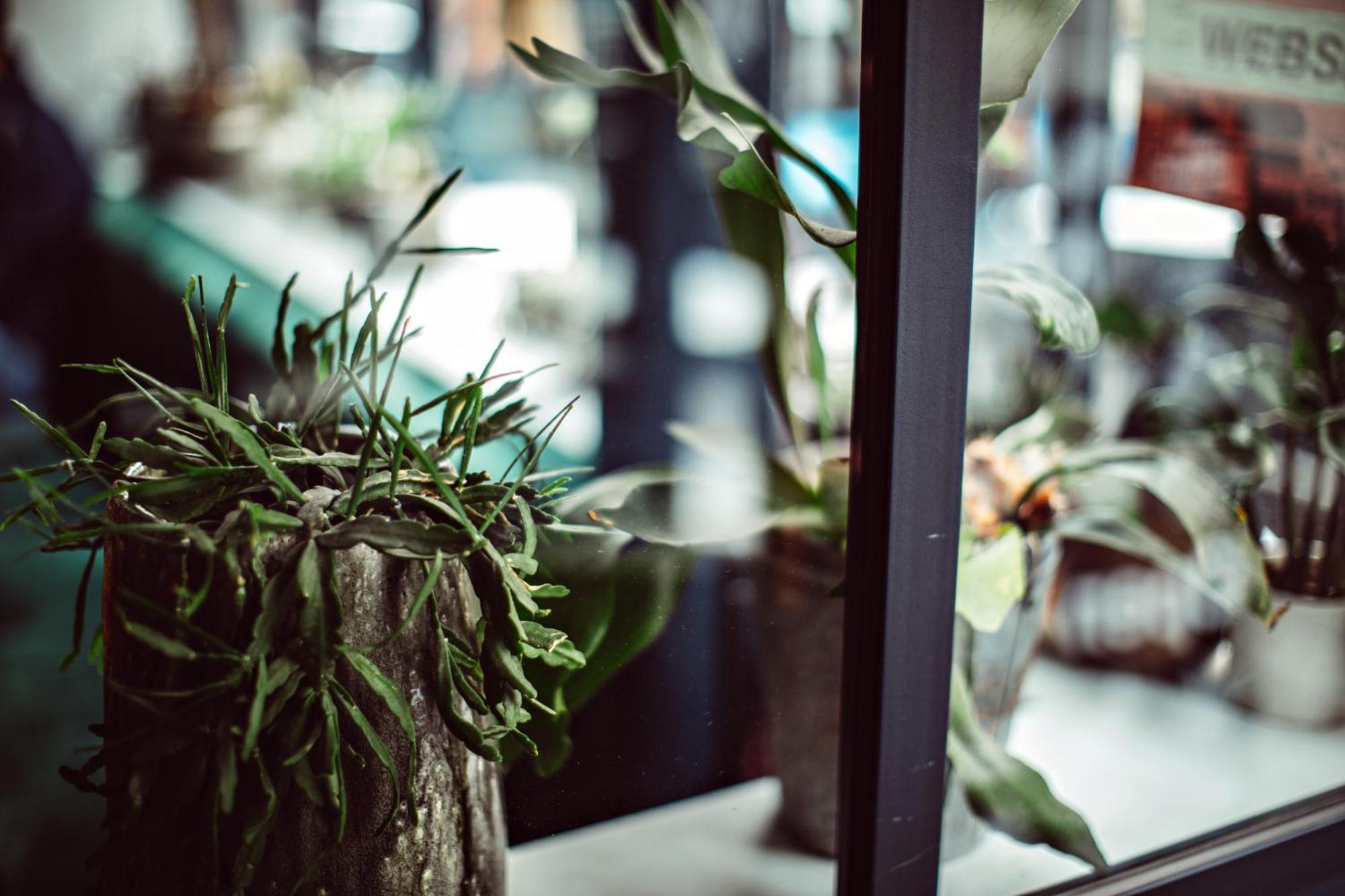 Hotel Monsieur Helder