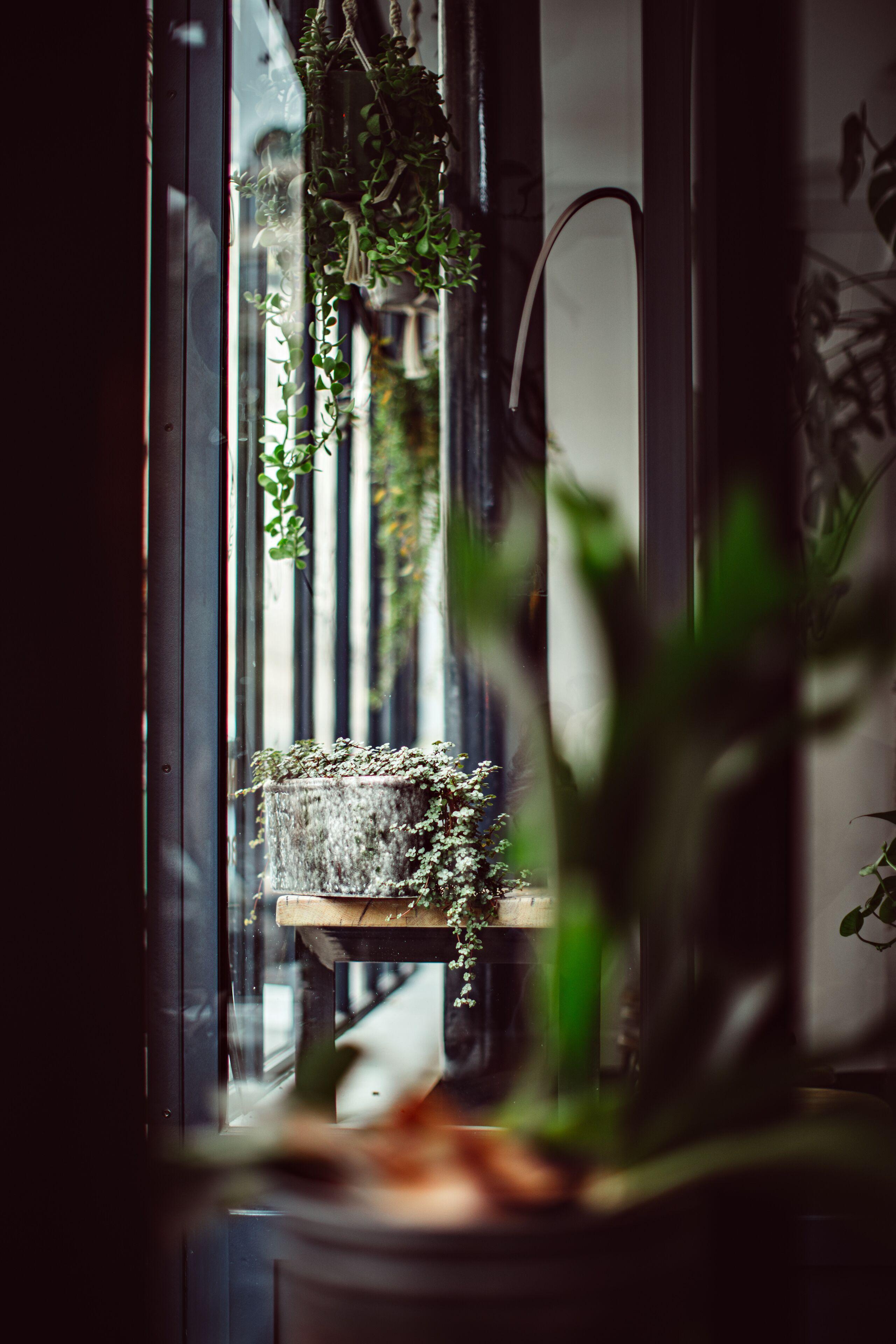 Monsieur Helder Hotel