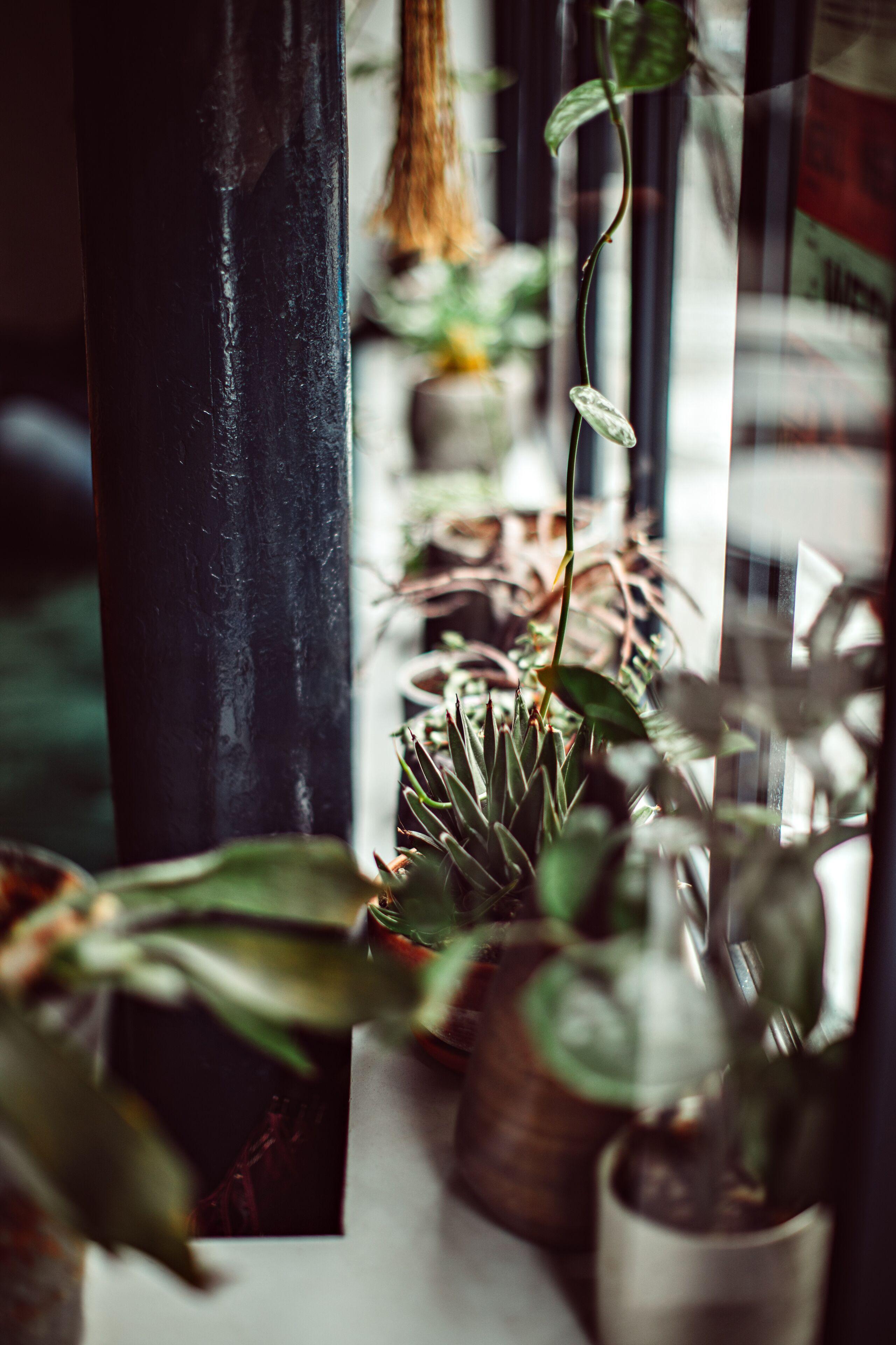 Monsieur Helder Paris